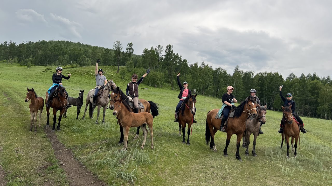 квест на лошадях фото 11
