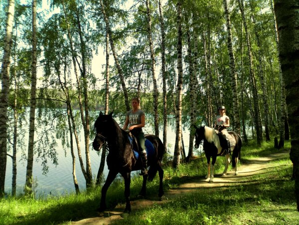квест на лошадях фото 19