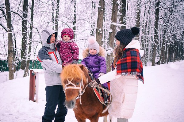 квест на лошадях фото 5