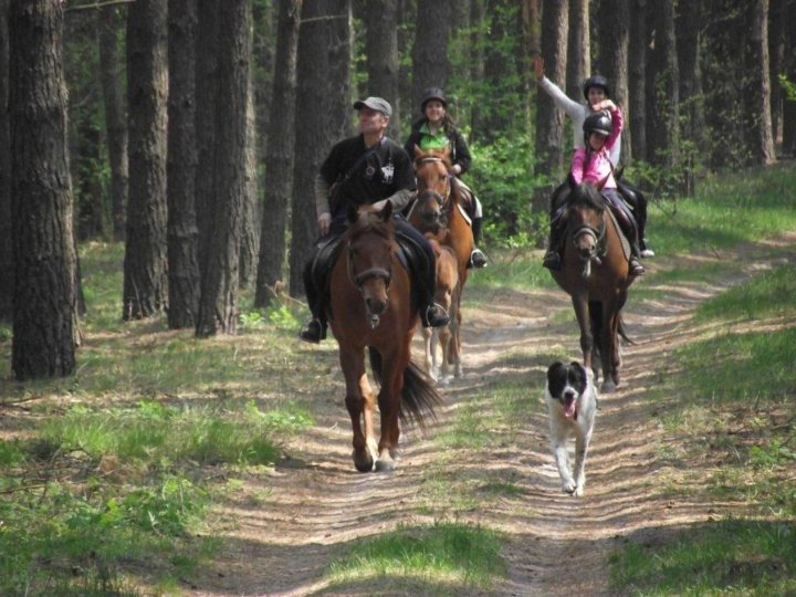 квест на лошадях фото 9
